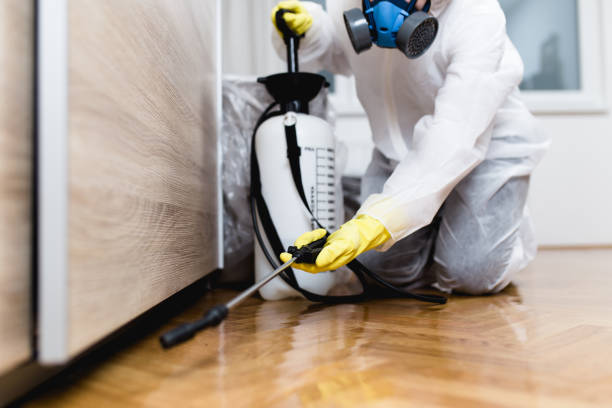 Best Best Pest Control Companies  in Pupukea, HI