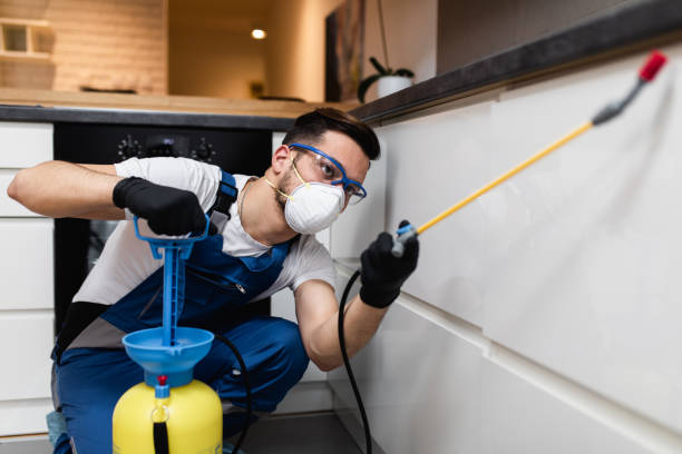 Best Residential Pest Control  in Pupukea, HI