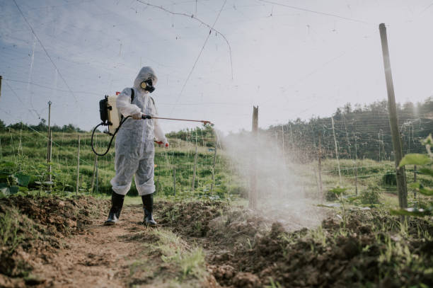 Best Mosquito Control Services  in Pupukea, HI