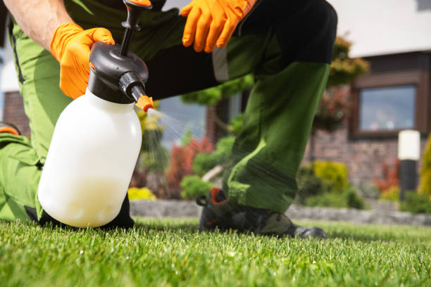 Best Pest Removal Services  in Pupukea, HI