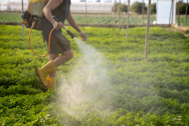 Best Affordable Pest Control Services  in Pupukea, HI