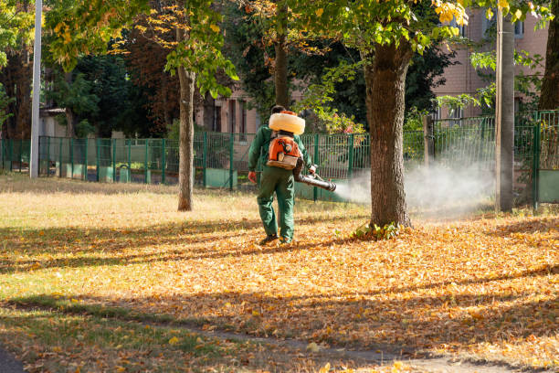 Best Termite Control Services  in Pupukea, HI